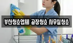 부산청소업체 공장청소 사무실청소