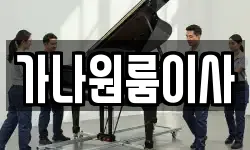 가나원룸이사