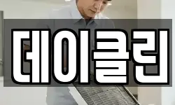 데이클린