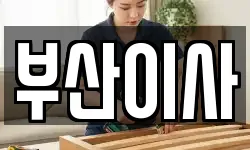 부산이사