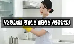 부산청소업체 정기청소 계단청소 부산종합환경