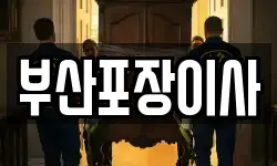 부산 북구 구포동 이사,용달이사,포장이사,원룸이사,보관이사
