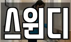 스윈디