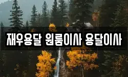 재우용달 원룸이사 용달이사