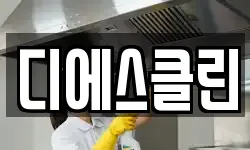 디에스클린