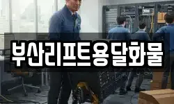부산리프트용달화물