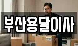 부산용달이사