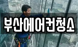 부산 북구 청소,입주청소,사무실청소,에어컨청소
