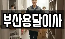 부산용달이사