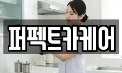 퍼펙트카케어