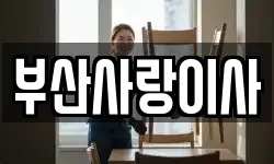 부산 사상구 감전동 이사,용달이사,포장이사,원룸이사,보관이사