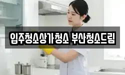 입주청소상가청소 부산청소드림