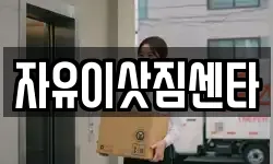 자유이삿짐센타