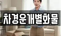 차경운개별화물