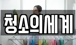 청소의세계