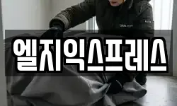 엘지익스프레스