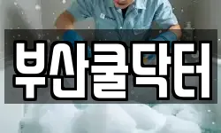 부산쿨닥터