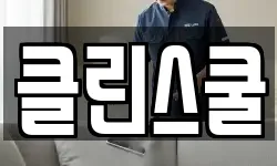 클린스쿨