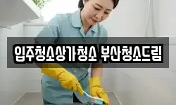 입주청소상가청소 부산청소드림