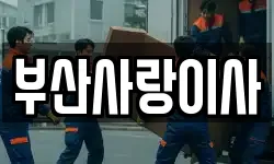 부산사랑이사