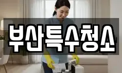 부산특수청소