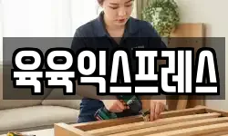 육육익스프레스