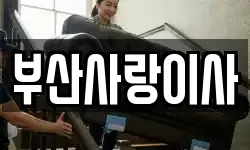 부산사랑이사
