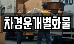 차경운개별화물