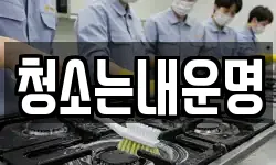 청소는내운명