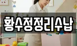 황수정정리수납