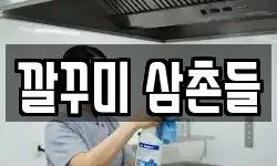깔꾸미 삼촌들