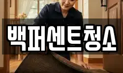 백퍼센트청소