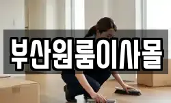 부산원룸이사몰