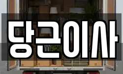 당근이사