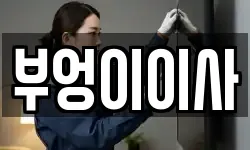 부엉이이사