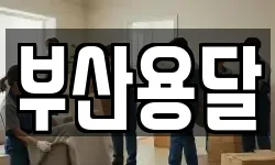 부산용달