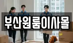 부산원룸이사몰