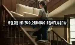 용달,화물,바이크탁송,오토바이탁송,용달이사,원룸이사