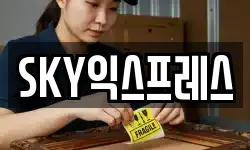 SKY익스프레스