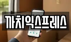 까치익스프레스
