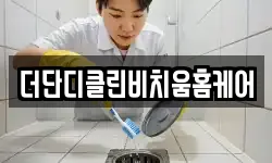 더단디클린비치움홈케어