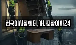 전국이사짐센터,가나포장이사24