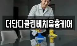 더단디클린비치움홈케어