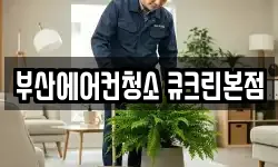 부산에어컨청소 큐크린본점
