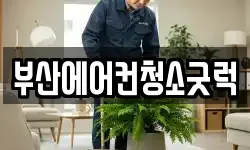 부산에어컨청소굿럭