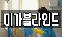 미가블라인드