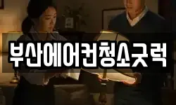 부산 서구 서대신동3가 청소,입주청소,사무실청소,에어컨청소