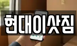 현대이삿짐