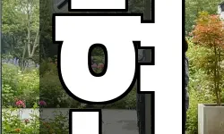 현