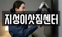 지성이삿짐센터
